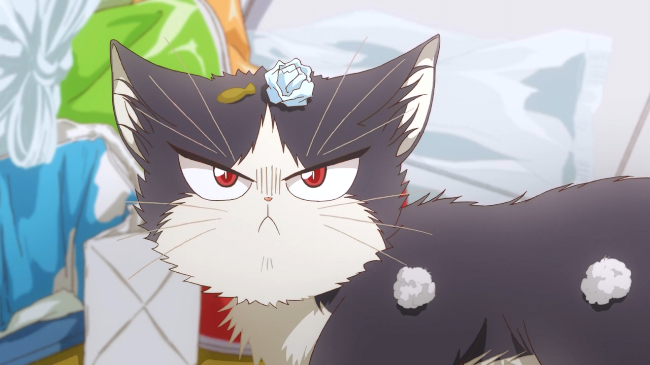 Doukyonin wa Hiza, Tokidoki, Atama no Ue (PuyaSubs!)